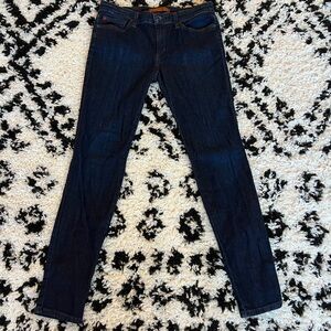 Joe’s Jeans The Provocateur Skinny, size 29